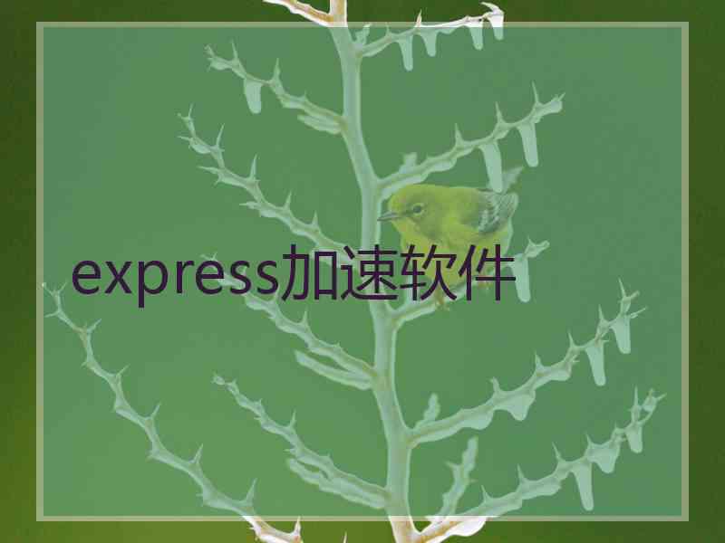 express加速软件