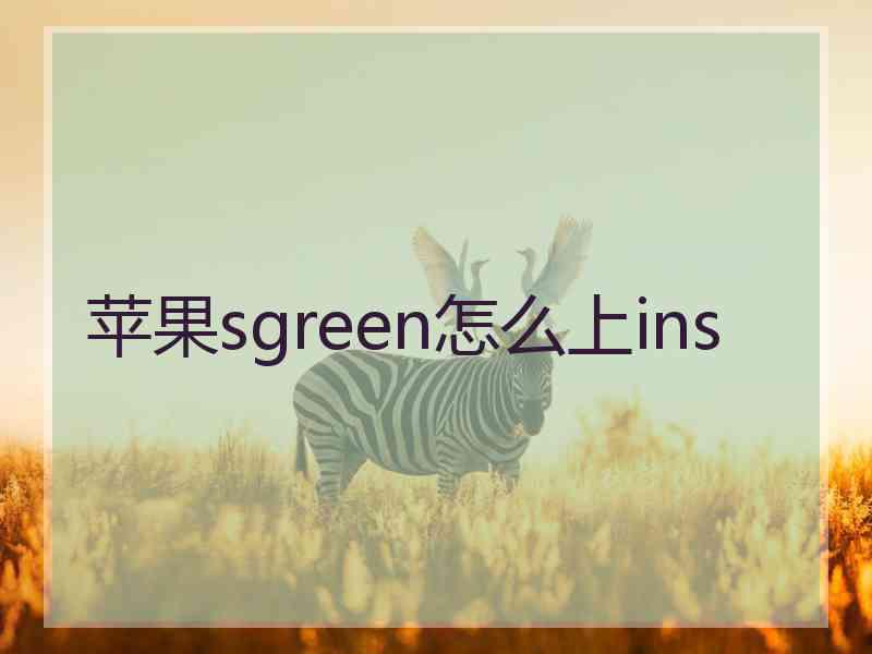 苹果sgreen怎么上ins