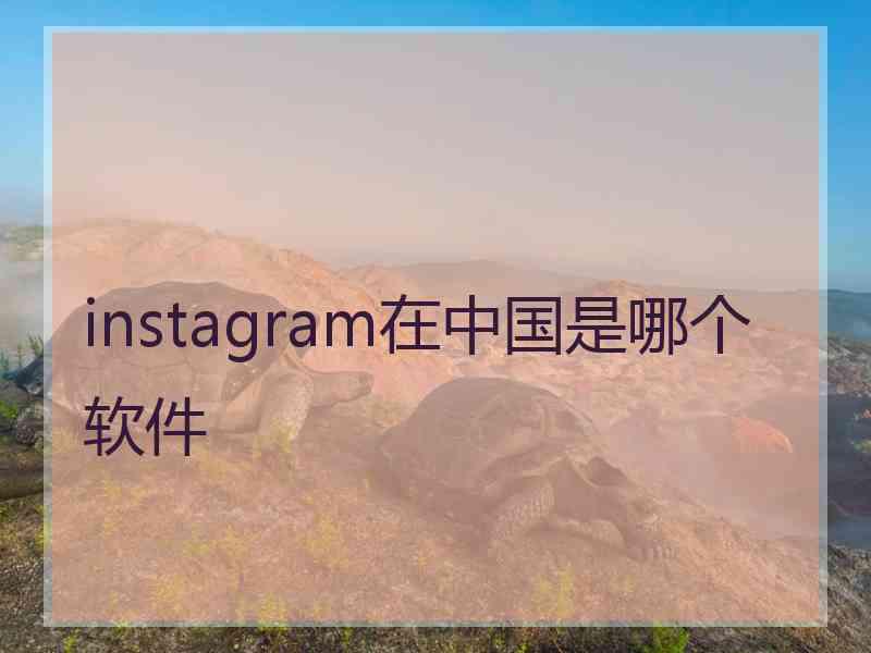 instagram在中国是哪个软件