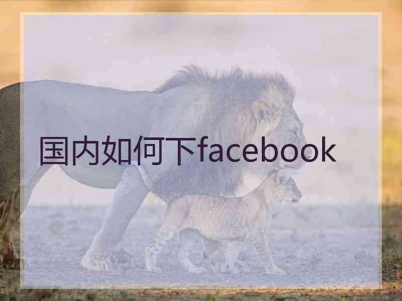 国内如何下facebook