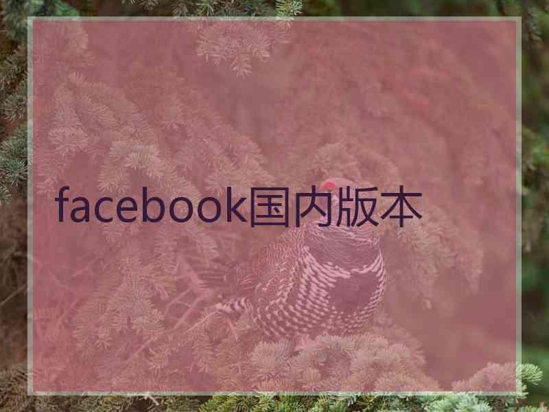 facebook国内版本