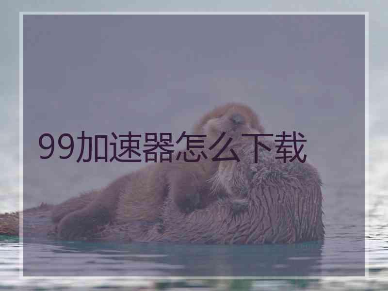 99加速器怎么下载