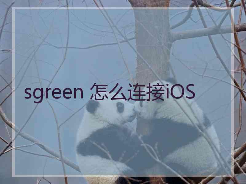 sgreen 怎么连接iOS