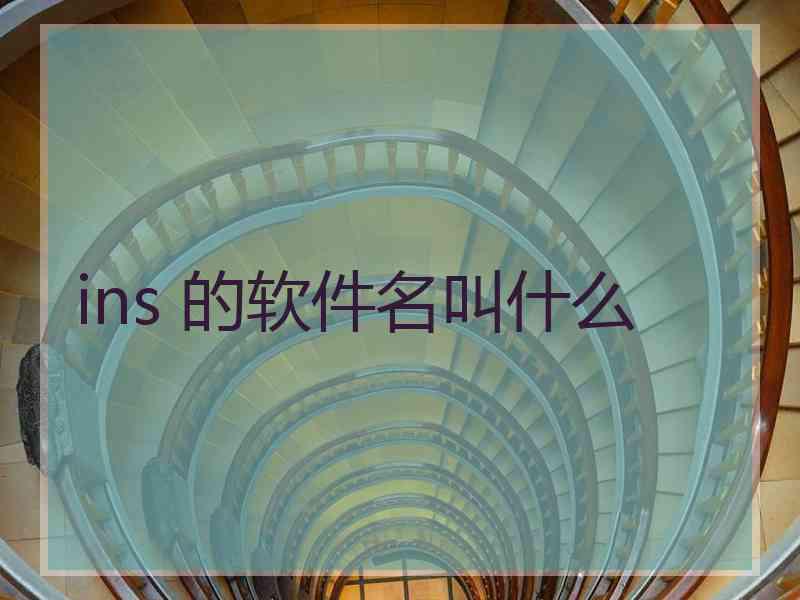 ins 的软件名叫什么