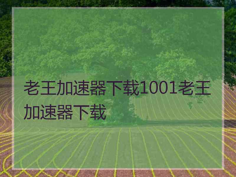 老王加速器下载1001老王加速器下载