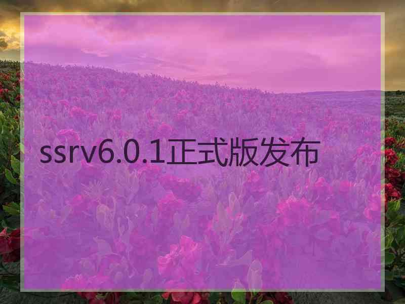 ssrv6.0.1正式版发布