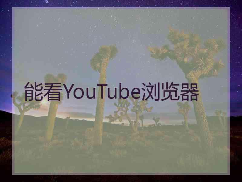 能看YouTube浏览器