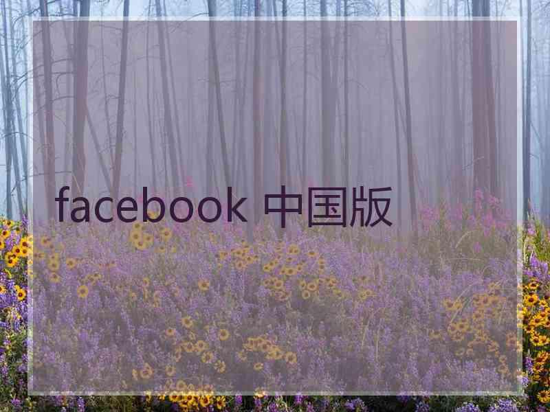 facebook 中国版