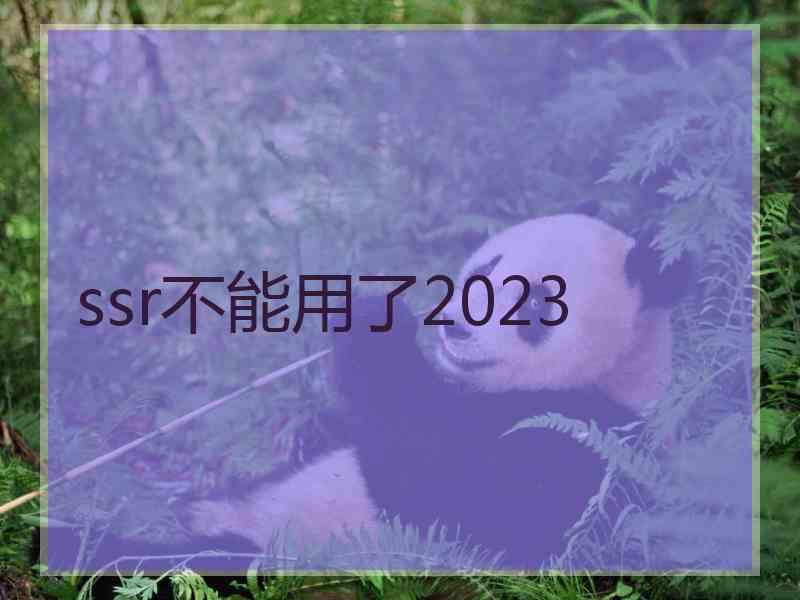 ssr不能用了2023